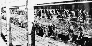 Pierre-Édouard Dankowski, une lumière à Auschwitz