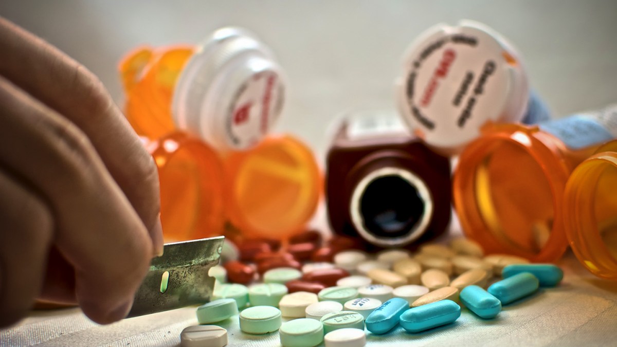 web-overdose-drugs-almond-butterscotch-cc