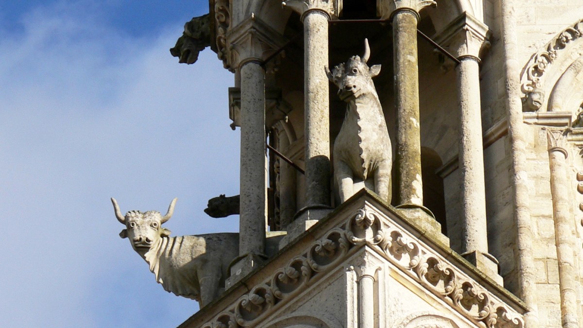 LAON OX