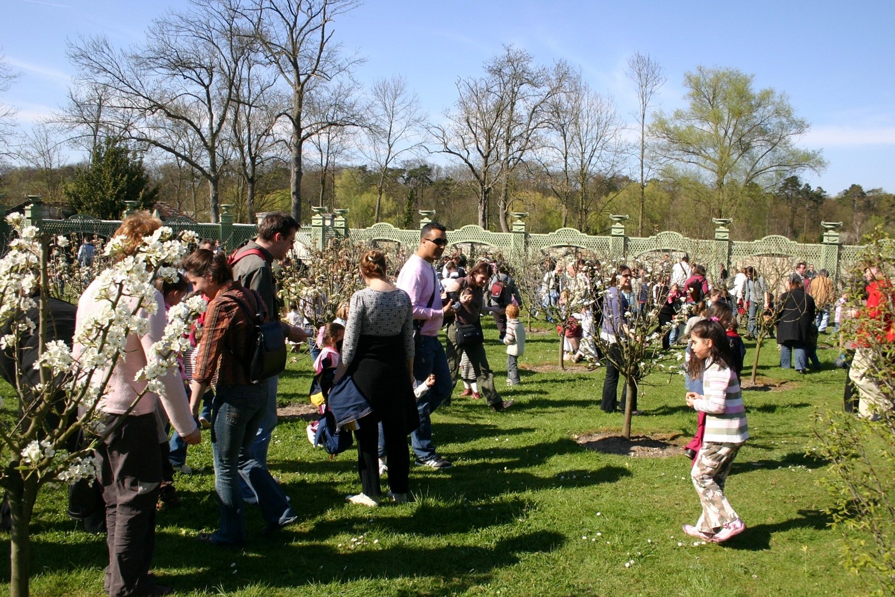EGGS HUNT