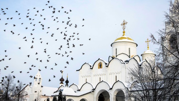 MONASTERY BIRDS
