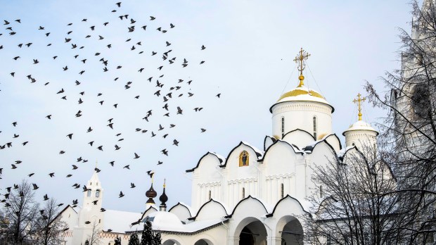 MONASTERY BIRDS