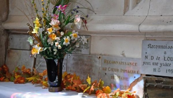 Remercier ; saint ; fleurs ;