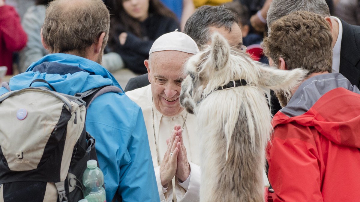 POPE LAMAS