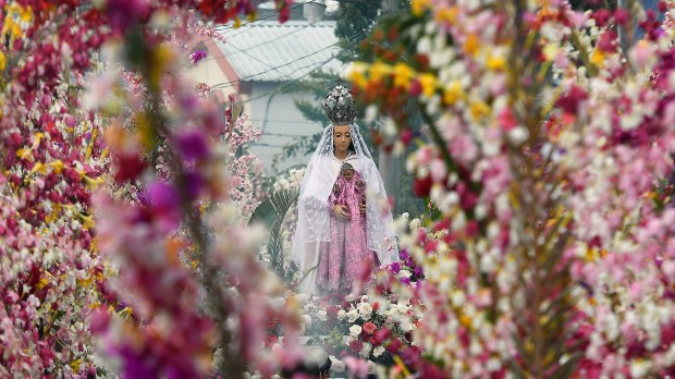 FLOWER FESTIVAL