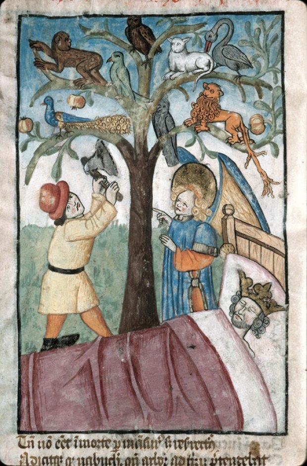 NABUCHODONOSOR TREE
