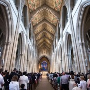 Editors choices image #8