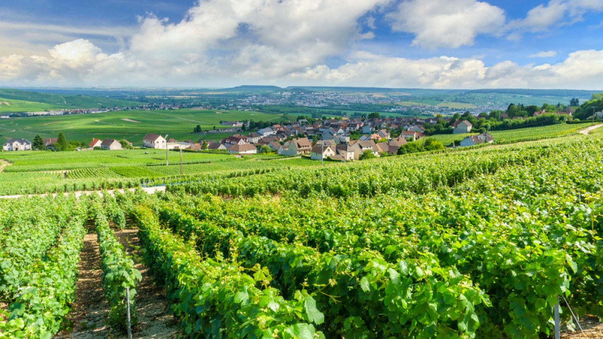 REIMS CHAMPAGNE