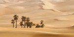 DUNES DESERT