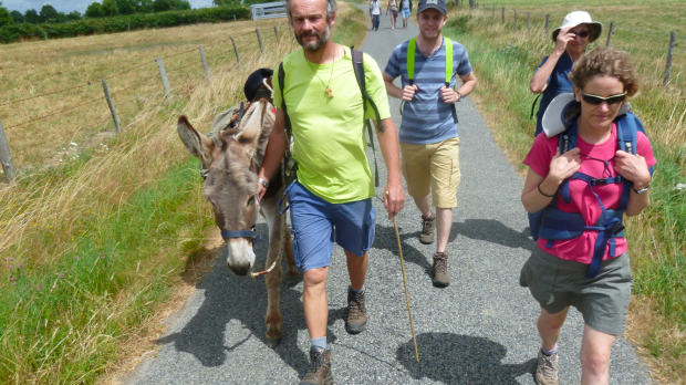 DONKEY BOURGES