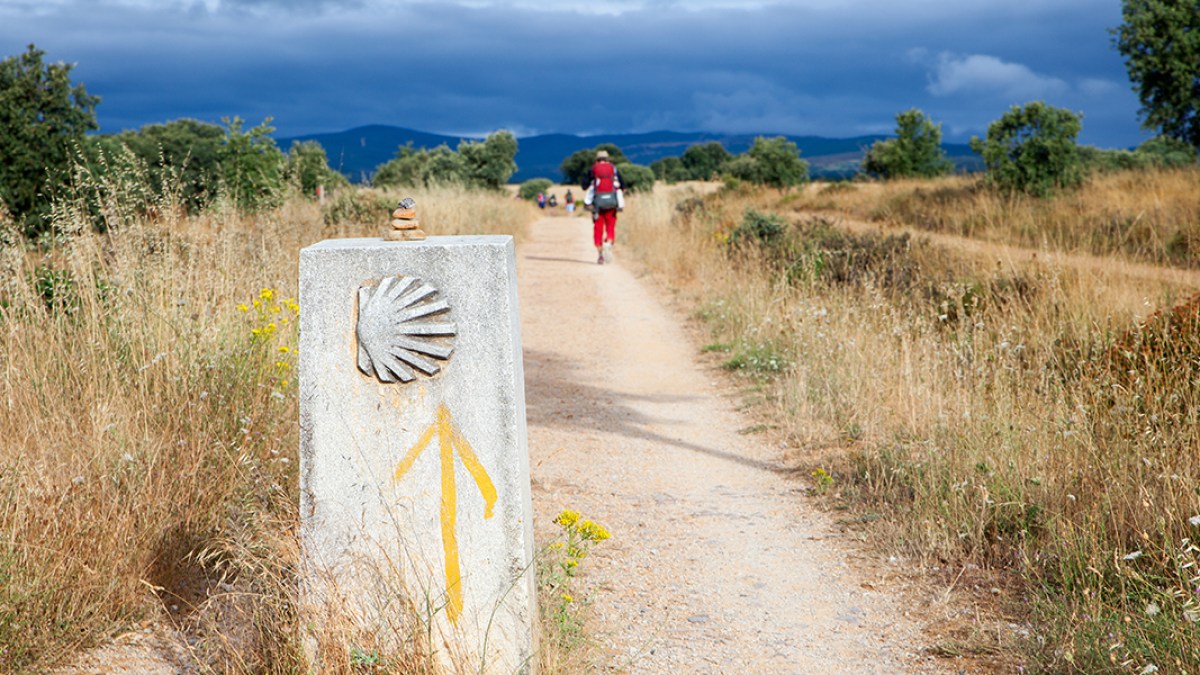CAMINO,SANTIAGO