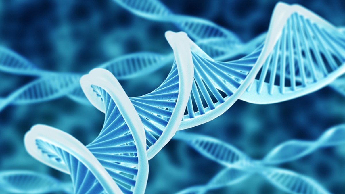 DNA