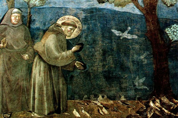 SAN FRANCESCO ASSISI