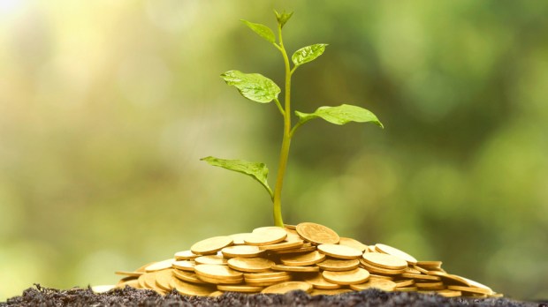 WEB3-TREE-GROWING-COINS-ETHIC-BUSINESS-De wk1003mike I Shutterstock
