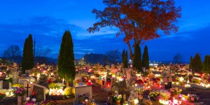 Thumbnail for read also