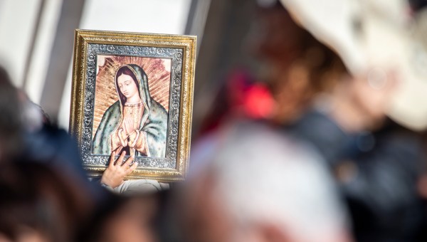 POPE FRANCIS AUDIENCE