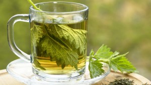 NETTLE INFUSION