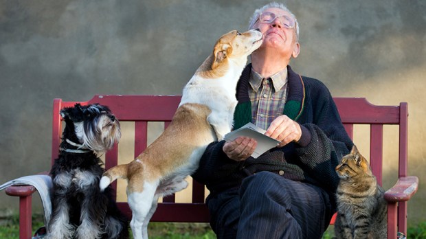 réflexions sur les personnes âgées Web3-senior-man-dog-dogs-cat-lap-bench-elderly-garden-outdoor-nature-mature-happy-company-therapy-shutterstock_447964363