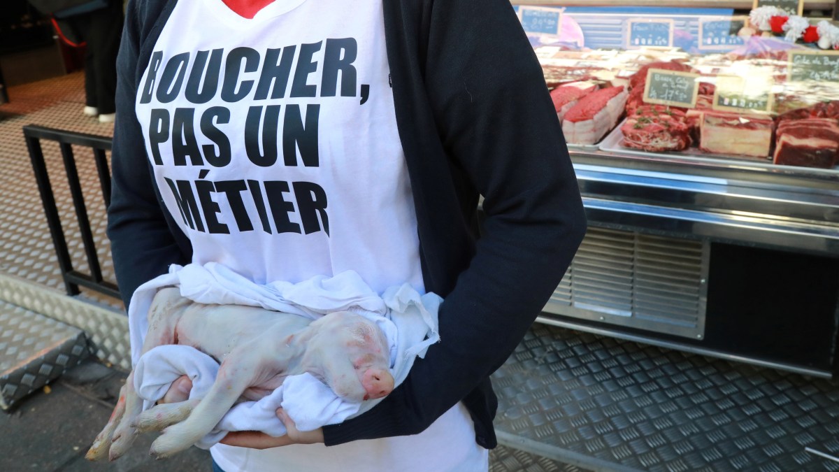 BUTCHER ABOLITION