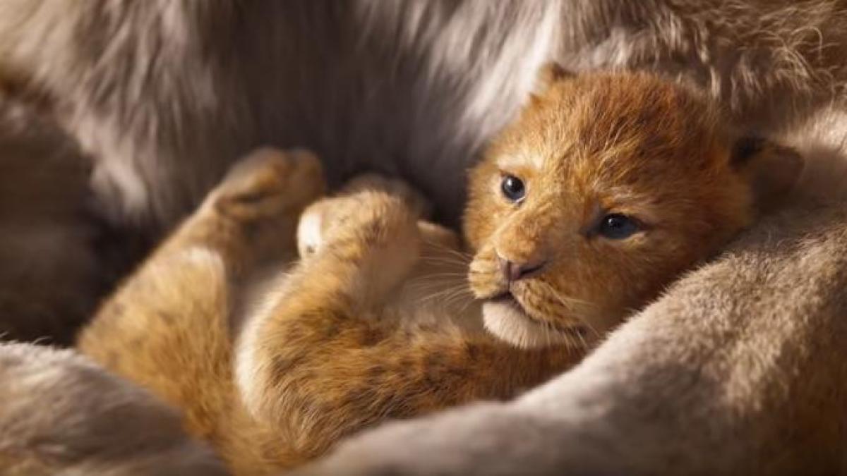 bande annonce roi lion
