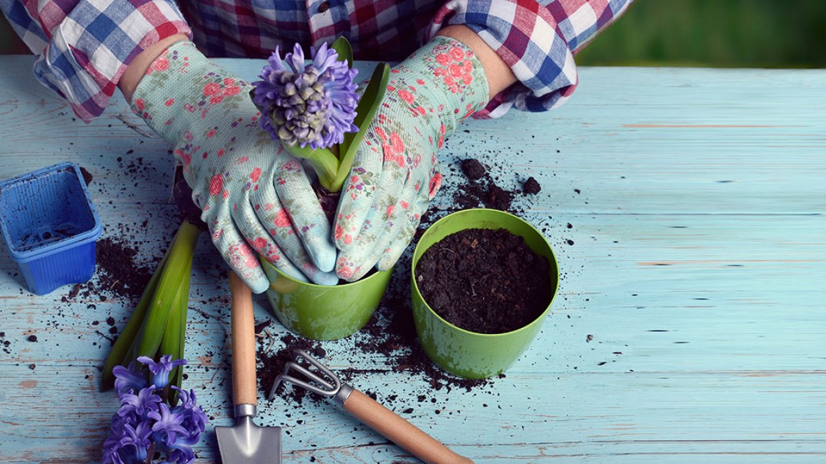 GARDENING