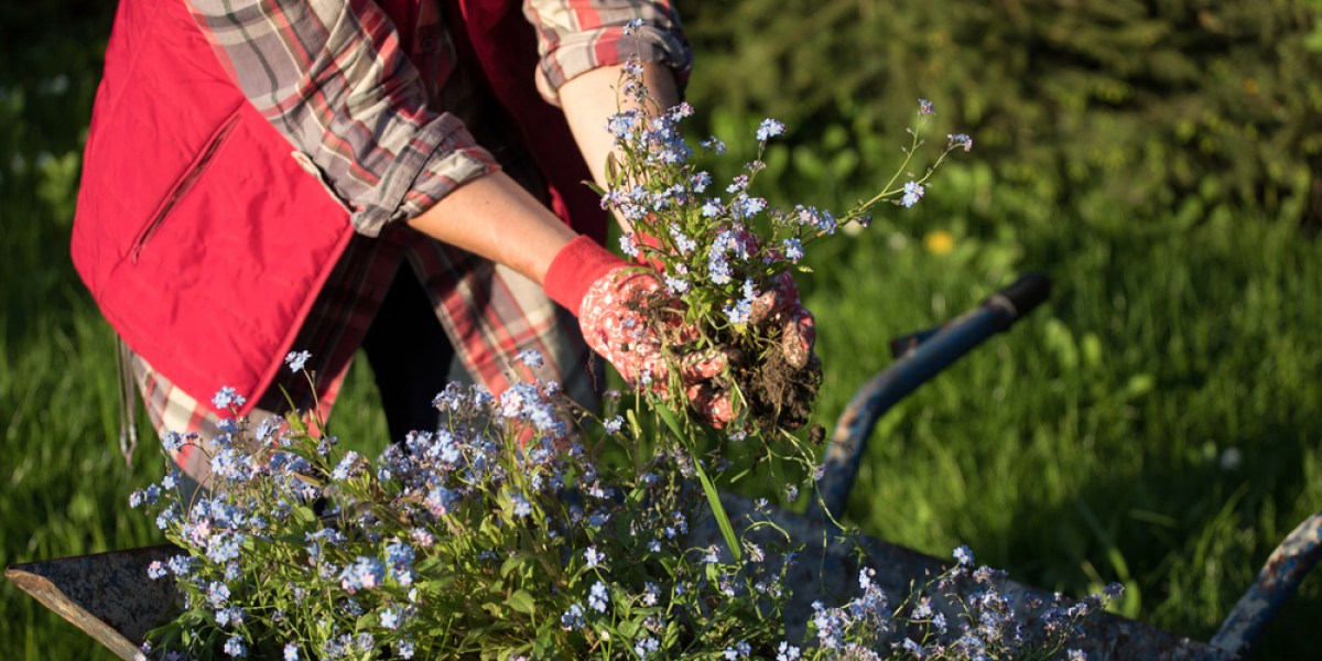 GARDENING