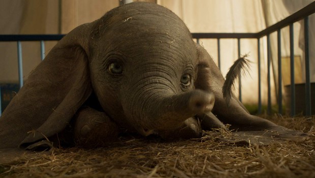 DUMBO MOVIE