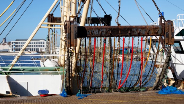 pêche électrique