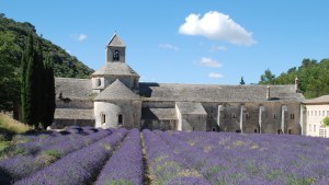 ABBEY SENANQUE