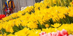 Le « Flower Power » de Titus Brandsma