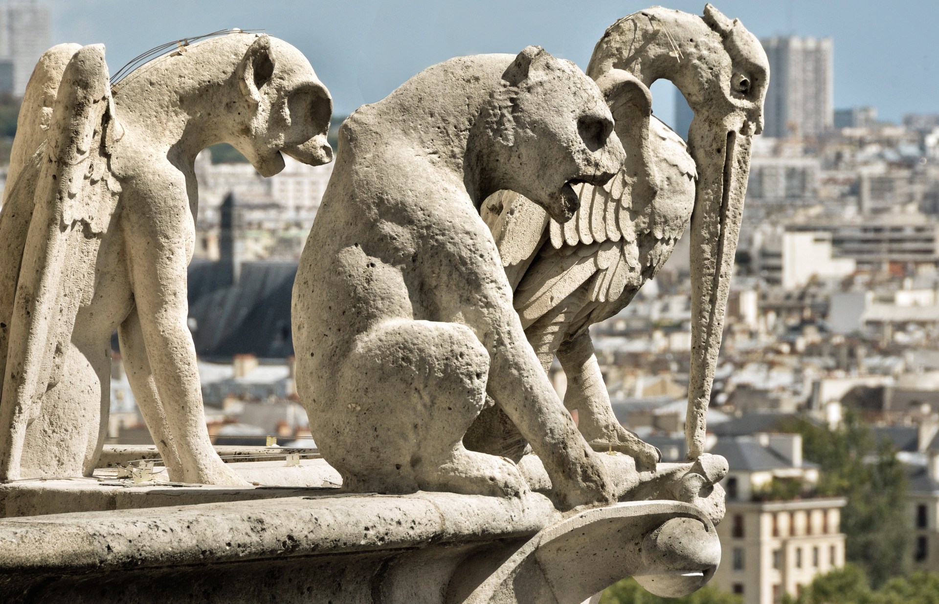 chimères Notre Dame de Paris