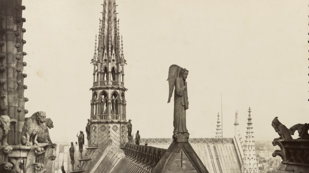 notre_dame_paris_france._view_from_spire_of_roofs_statuary_and_gable.jpg