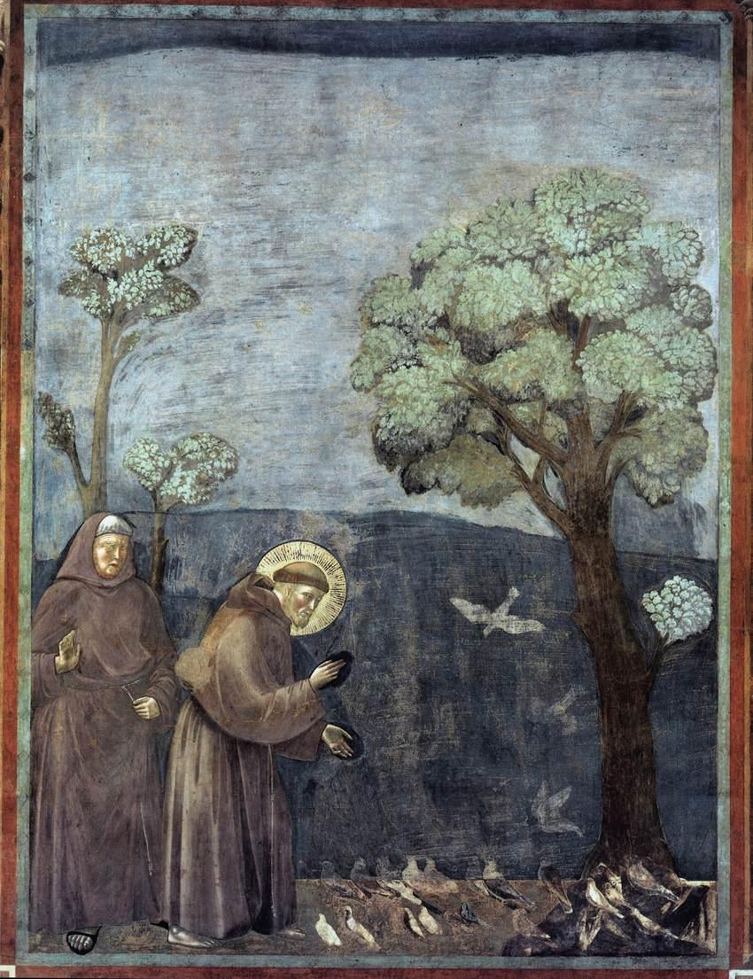 Predica agli uccelli, Giotto