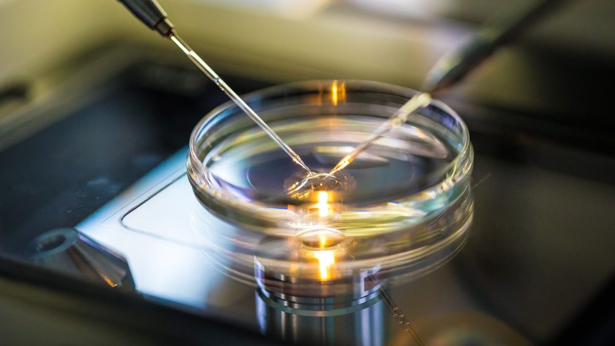 web2-artificial-insemination-in-vitro-fertilization-in-a-laboratory-shutterstock_785015977-e1668421778119.jpg