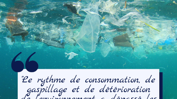 web2-montage-ecologie4.png