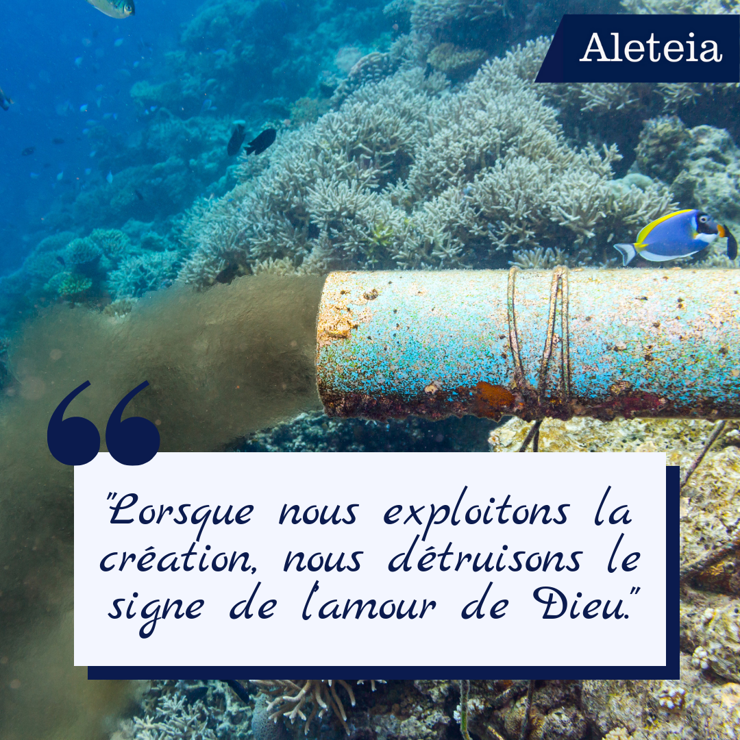 web2-montage-ecologie7.png