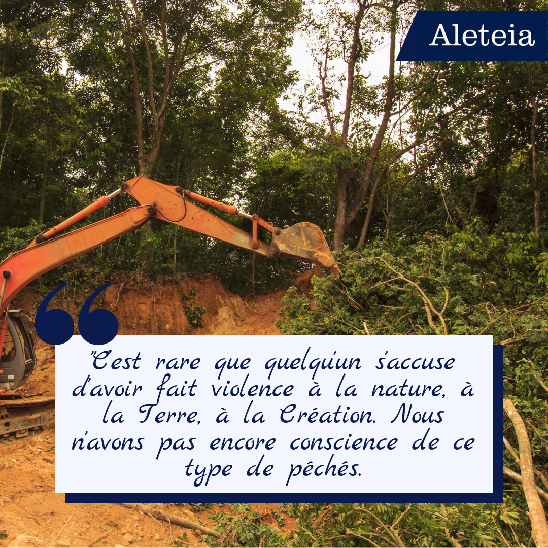 web2-montage-ecologie8.png