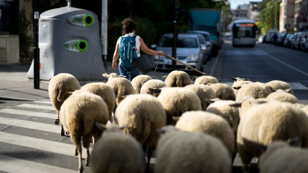 transhumance grand paris