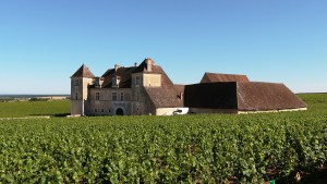 web2-wine-bourgogne-chateau-de-clos-de-vougeot-374419_1920.jpg