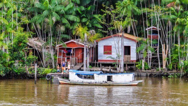 Fôret amazonie