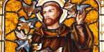 web2-saint-francois-dassise-godong-vn105047a.jpg