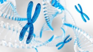 Chromosome - dna