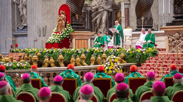 amoct2719-pope-francis-holy-mass-closing-amazonia-synod-antoine-mekary-aleteia-am_3552.jpg