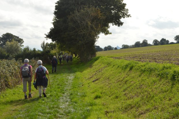 pelerinage motn saint michel