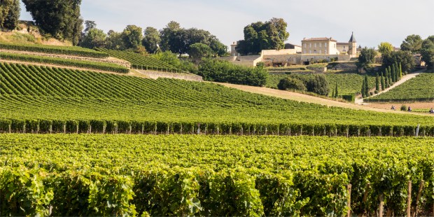 le domaine de saint émilion