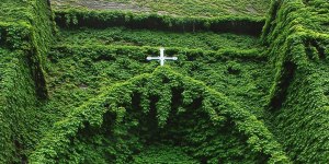 Laudato si’ : ce qu’écologie intégrale veut dire… et ne pas dire