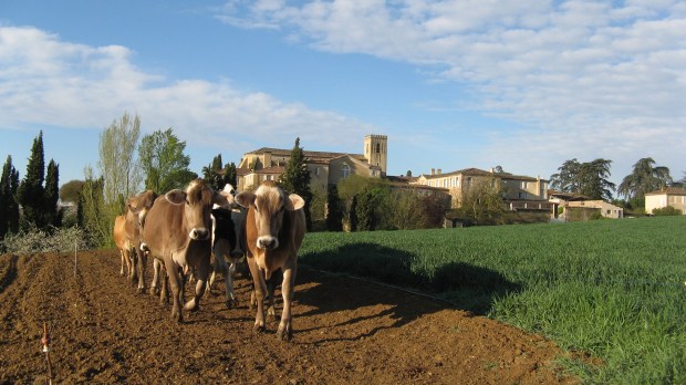 abbaye de boulaur ferme