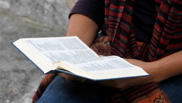 Bible reading