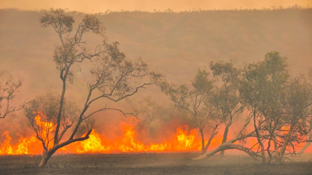 5,5 millions d'hectares sont partis en fumée en quatre mois.