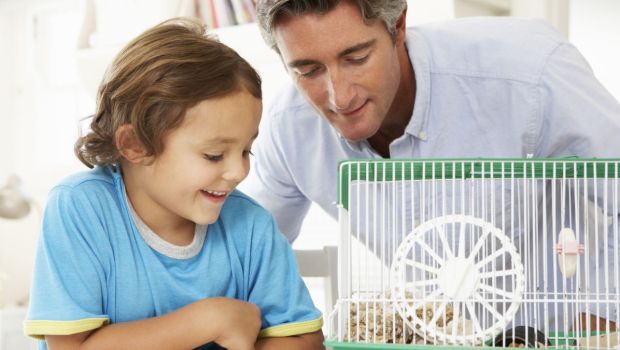 Quatre bonnes raisons d'adopter un animal de compagnie pour son enfant